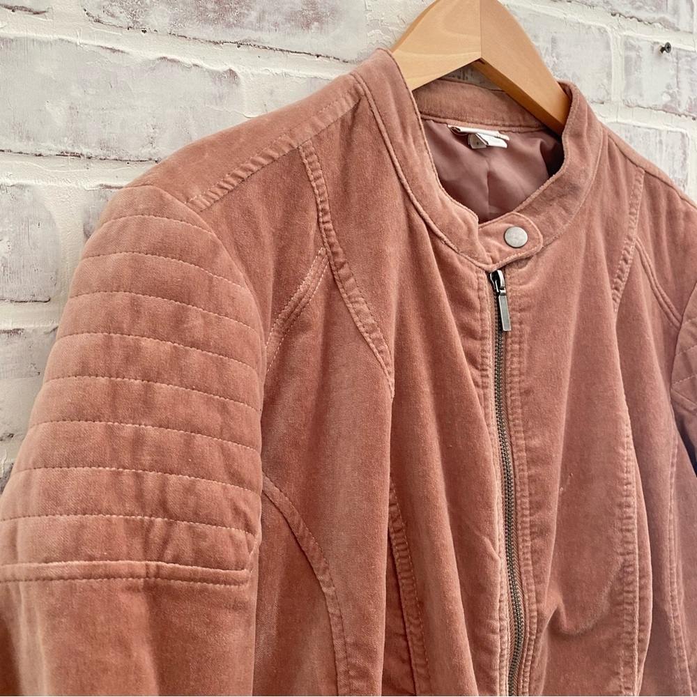 Westport 1962 • Dusty Rose Velvet Moto Jacket • Size 2X